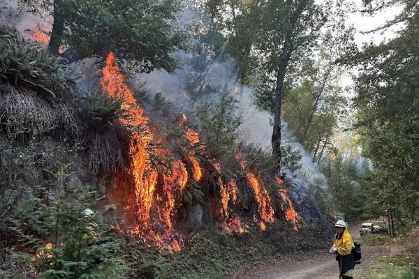 Cooperation • Training • Fiscal Sponsorship